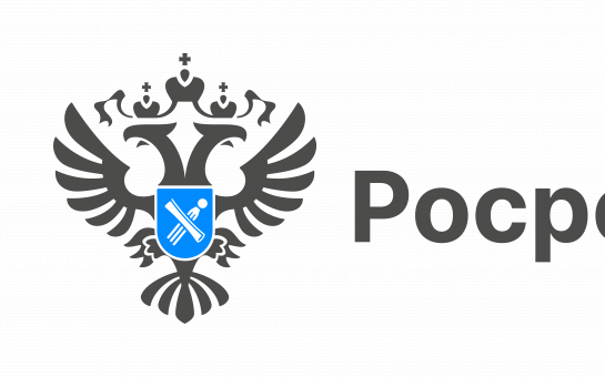 В региональном Роскадастре ответят на вопросы оформления недвижимости